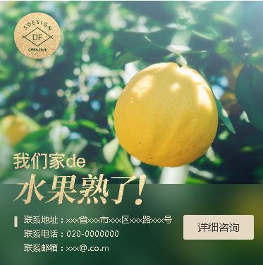 铜仁市果园果林小程序开发